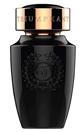 Triumphant Black Amber  EDT 100 ml Erkek Parfümü