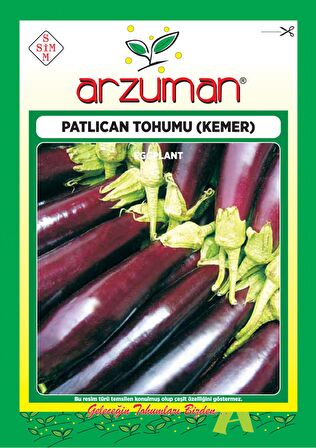 Sivri Patlıcan Tohumu(10 Gr)