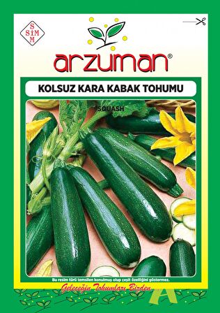 Kolsuz Kara Kabak Tohumu 10gr