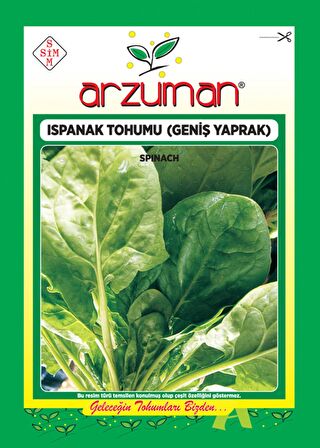 Ispanak Tohumu Geniş Yaprak 25 Gr