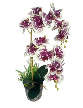 Yapay Çiçek 2li Benekli Fuşya Islak Orkide Seramik Saksıda Orkide 60cm