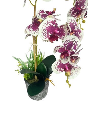 Yapay Çiçek 2li Benekli Fuşya Islak Orkide Seramik Saksıda Orkide 60cm