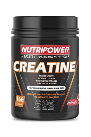 Creatine Micronized Mikronize Kreatin 500 gr