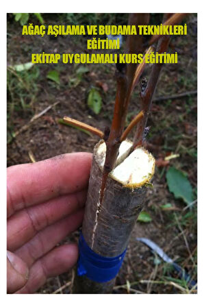 AĞAÇ AŞILAMA VE BUDAMA TEKNİKLERİ EĞİTİMİ EKİTAP