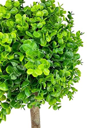 Yapay Ağaç Şimşir Top 85*30cm Beyaz Saksılı Yeşil Ağaç 