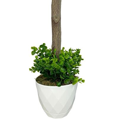 Yapay Ağaç Şimşir Top 85*30cm Beyaz Saksılı Yeşil Ağaç 