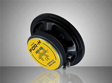 FOR-X XFR-65-300W MAX-150W RMS- 16 CM -HEM BAS HEM SES -OTO MİDBASS MİDRANGE-2 ADETTİR