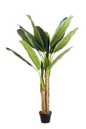 Yapay Ağaç Muz Ağacı Yapay Starliçe 220cm 