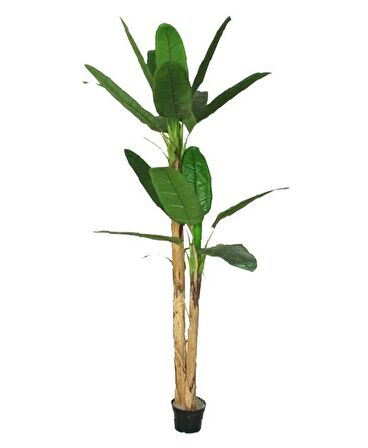 Yapay Ağaç Muz Ağacı Yapay Starliçe 220cm 