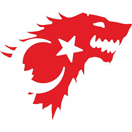 Kurt Şeklinde Türk Bayrağı Sticker Yapıştırması