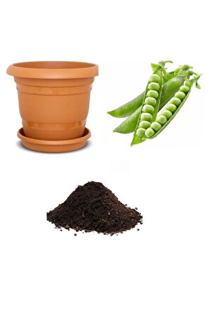 Bezelye Tohumu Ekim Seti