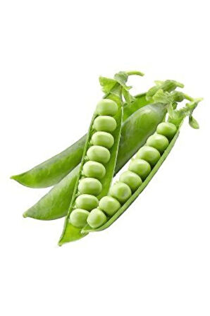 Bezelye Tohumu Ekim Seti