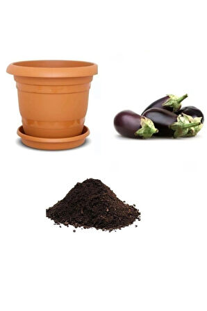 Dolmalık Antep Patlıcanı Tohumu Ekim Seti