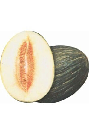 Hasanbey Kışlık Kavun Tohumu Ekim Seti