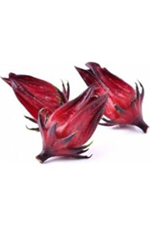 Ithal Roselle Tohumu Ekim Seti