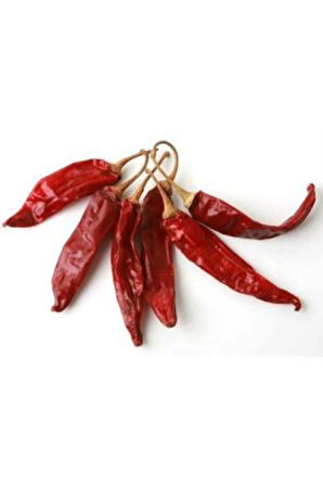 Meşhur Acı Hatay Biberi Tohumu Ekim Seti