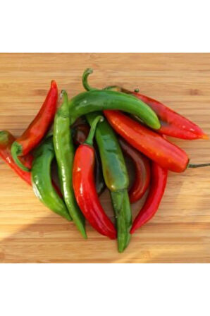 Meşhur Acı Hatay Biberi Tohumu Ekim Seti