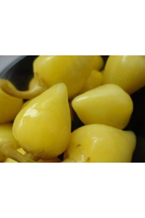 Acı Fındık Biberi Tohumu Ekim Seti