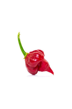 Ithal Acı Trinidad Biber Tohumu Ekim Seti