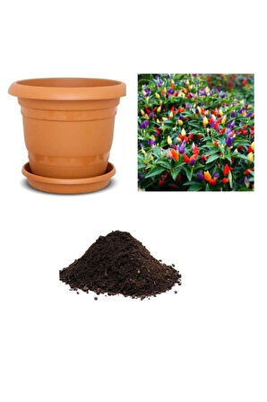 Yediveren Acı Kıbrıs Biberi Tohumu Ekim Seti