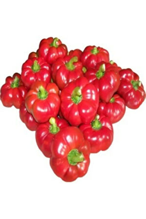 Tatlı Domates Biberi Tohumu Ekim Seti