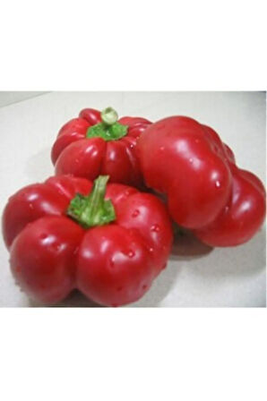 Tatlı Domates Biberi Tohumu Ekim Seti