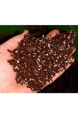 Ithal Bonzai Ağacı Toprağı 1 Litre Bonsai Toprağı