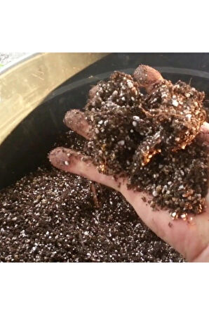 Ithal Bonzai Ağacı Toprağı 1 Litre Bonsai Toprağı