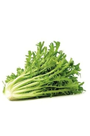 Meşhur Hindiba Tohumu Ekim Seti