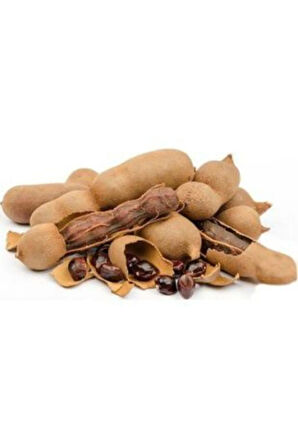 Ithal Tamarind Tohumu Ekim Seti