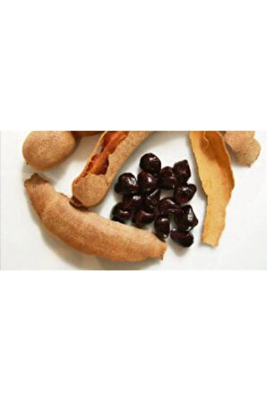 Ithal Tamarind Tohumu Ekim Seti