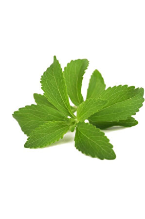Stevia Ekim Seti 10 Adet Tohum Saksı Toprak Şekerotu