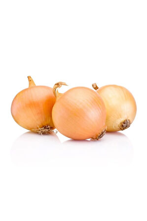 Kışlık Soğan Tohumu 100 Adet Tohum