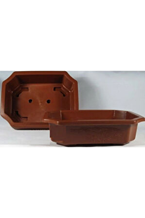 Bodur Acer Rubrum Bonzai Ağacı Ekim Seti 5 Adet Tohum Saksı Toprak Kombin