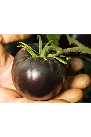 Siyah Domates Tohumu 5 Adet Tohum Black Tomato