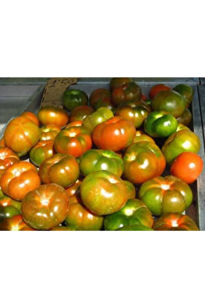 Yayla Domatesi Tohumu 15 Adet Tohum Alacalı Domates Tohumu