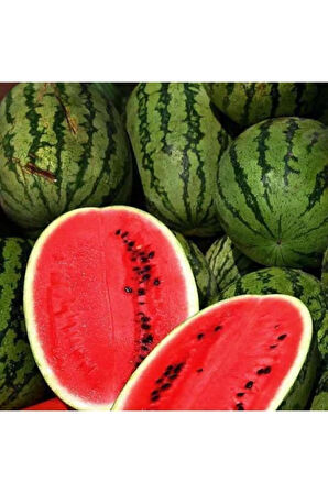 Meşhur Diyarbakır Karpuzu Tohumu 5 Adet Tohum Karpuz Tohumu