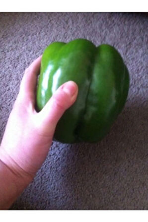 Nadir Ithal Yeşil Dev Dolmalık Biber Tohumu 10 Adet Tohum