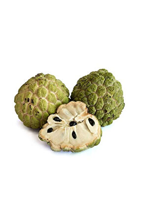 Tropikal Sugar Apple Meyvesi Tohumu 3 Adet Tohum Şeker Elma