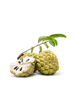 Tropikal Sugar Apple Meyvesi Tohumu 3 Adet Tohum Şeker Elma