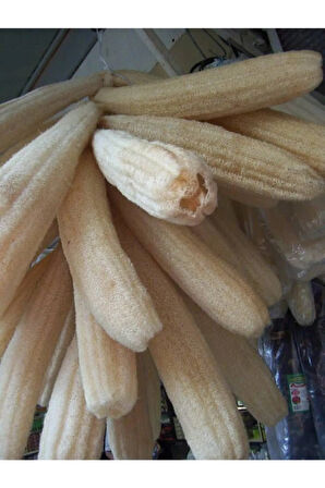 Meşhur Lif Kabağı Tohumu Ekim Seti 3 Tohum Lif Kabak Tohumu Saksı Toprak Kombin