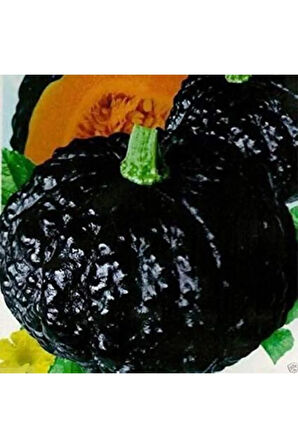 Süper Paket 50 Adet Tohum Ithal Nadir Thailand Siyah Bal Kabağı Tohumu Kabak Tohumu