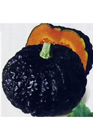 Süper Paket 50 Adet Tohum Ithal Nadir Thailand Siyah Bal Kabağı Tohumu Kabak Tohumu