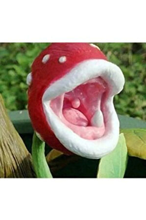 Ithal Etobur Bitki Çiçeği Tohumu Ekim Seti