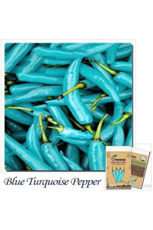 Ithal Mavi Biber Tohumu Ekim Seti