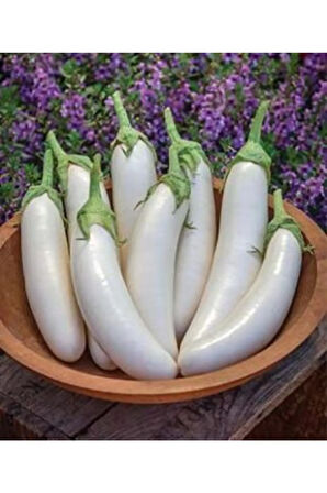 Nadir Ithal Beyaz Kemer Patlıcan Tohumu Ekim Seti