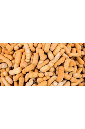 Ithal Demirhindi Tohumu Ekim Seti