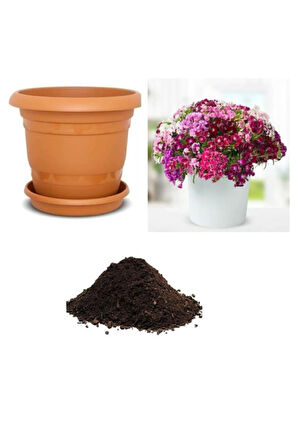 Karışık Hüsnü Yusuf Çiçeği Tohumu Ekim Seti