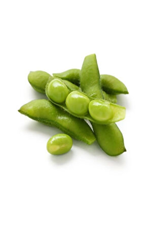 Nadir İthal Mungo Fasülye Tohumu 5 Adet Tohum Fasulye Mungo Beans