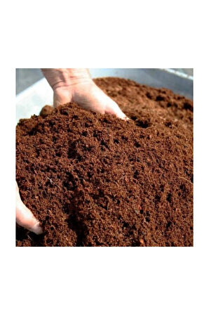 Yayla Domatesi Tohumu 15 Adet Tohum Alacalı Domates Tohumu